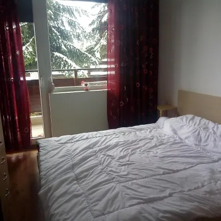 Apartment Detelina Residents Apartment