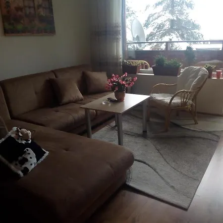 Detelina Residents Apartment *